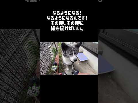 【11/26】今日のサプリ　#秋田犬