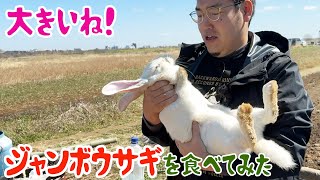 大きいね！ジャンボウサギを食べてみた！