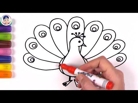 Baby Peacock Colorin Pages / Akn Kids House