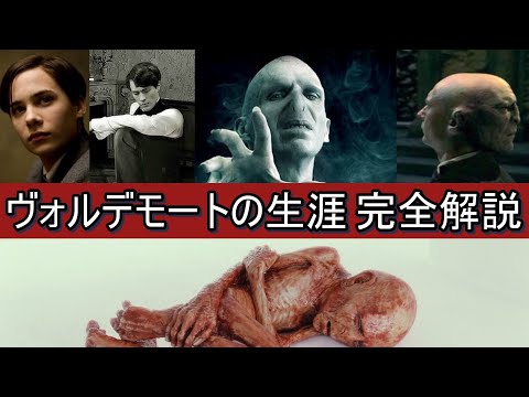 ヴォルデモートの生涯 完全解説【ハリーポッター・ファンタスティックビースト】