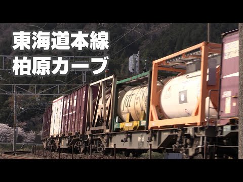 東海道本線「柏原カーブ」を行く貨物列車　2019.04