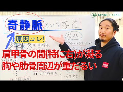 【奇静脈という存在】肩甲骨の間(特に右）の凝りや痛み、胸や肋骨周辺の重さの原因は奇静脈にあり！