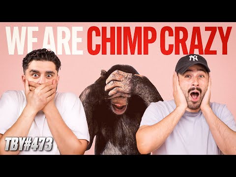 We Are Chimp Crazy | The Basement Yard #473