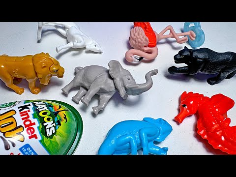 MORE Natoons! Kinder Joy Animal Figures - Elephant, Lion, Horse, Flamingo, Seahorse, Chameleon