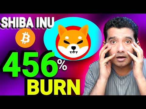 Shiba Inu Coin 456 Per Cent BURN🔥 BTC BULL RUN PRICE