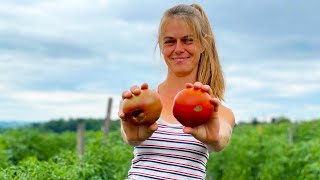 Meet the Master Organic Veggie Farmer | Good Work