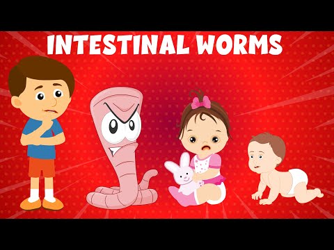 Intestinal Worms, Parasitic Worms, Types of Worms in Humans, Symptoms, and Treatment