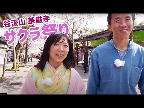 【谷汲山華厳寺】さくら祭り　竹灯籠がノスタルジックでいい感じ　コバシャールと舞子