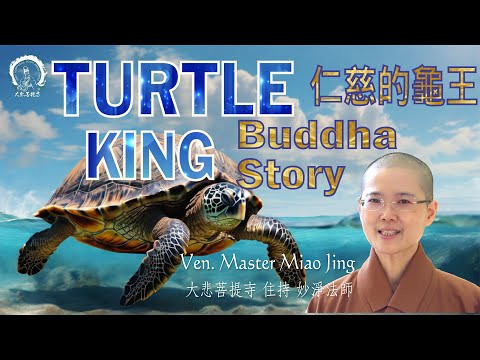 佛陀本身故事 Buddhist Story | 仁慈的龜王 Story of Kindness | Turtle King | The Past Life of Buddha | 大悲菩提寺 妙淨法師