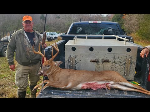 Big Buck Down!! Deer Hunting With Dogs!! Young Bucks & W.B. Hunt Club!! (Kill Shot)