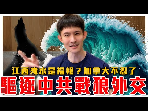 踢鐵板！中共戰狼外交官被驅逐！遭列不受歡迎｜粉紅暖心送頭喊五筒｜江西淹水微博壓熱搜｜粉紅特報024期｜波特王好帥