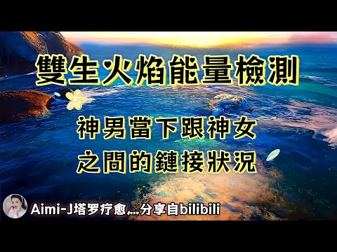 ❰ 宇宙傳訊 ❱ 神男認為與神女之間的連結是必然的，兩人可共同抵抗，共創未來（無時限）