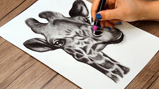 How to Draw a Giraffe for Beginners | Step by Step Pencil Drawing