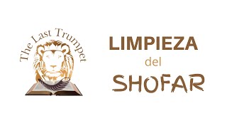 Como limpiar tu shofar #Shofar #limpieza #thelasttrumpet