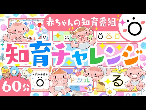 【赤ちゃんが喜ぶ知育番組】知育チャレンジ🌼ö | ソポアートパーク公式 | 人気動画の詰め合わせ | 赤ちゃんが喜ぶアニメ | 動画 | 絵本　歌　音楽メドレー | Baby anime