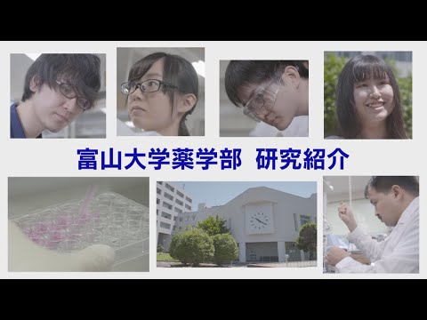 富山大学薬学部「研究紹介」