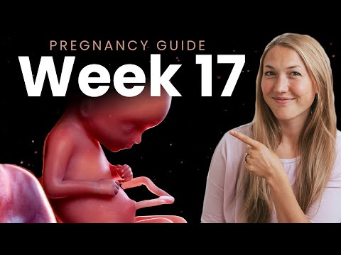 17 Weeks Pregnant | Week By Week Pregnancy