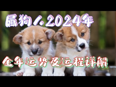 属狗人2024年全年运势及运程详解