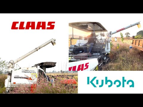 Claas vs Kubota Harvesters | Paddy Cutting | John Deere 5310 4X4 Shifting