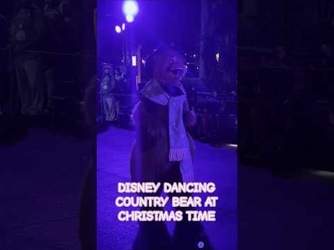 DISNEY DANCING COUNTRY BEAR at CHRISTMAS TIME #shorts