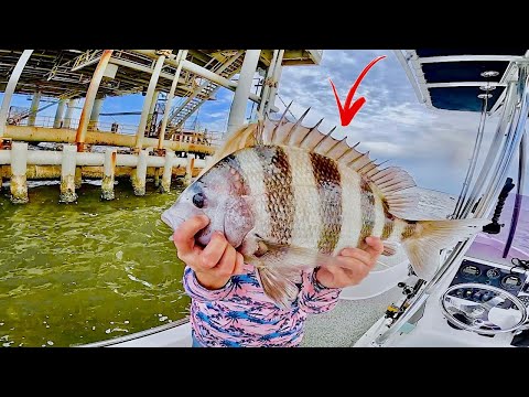 SHEEPSHEAD Fishing GAS RIGS! in the BAY with EPIC RESULTS!