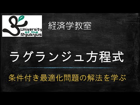 ラグランジュ方程式 (No.35) 条件付き最適化問題を解く方法（ラグランジュ乗数法）について解説