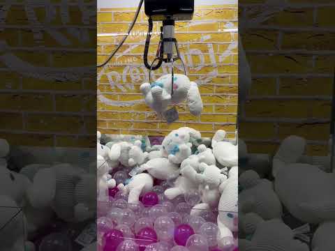 SANRIO Cinnamoroll Claw Machine! #funzone #clawmachine #arcadegame #round1 #sanrio #cinnamoroll