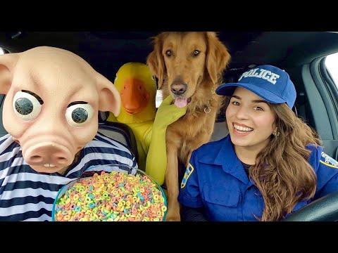 Rubber Ducky Surprises Pig & Puppy With Car Ride Chase!