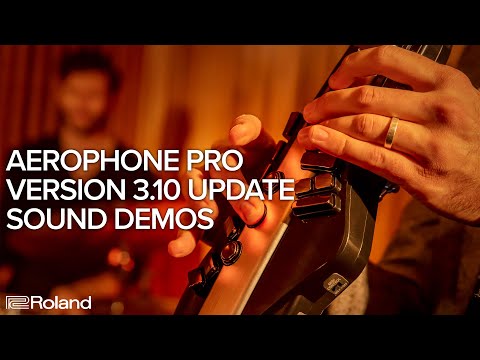 Roland Aerophone Pro AE-30 V3.10 Update Sound Demos