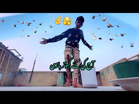 آجاؤ آج نئے تاریکے سے بازی کارے 🕊️ Pigeons Fly