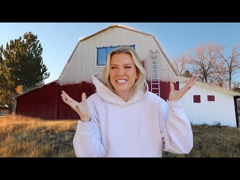 PAINTING MY BARN