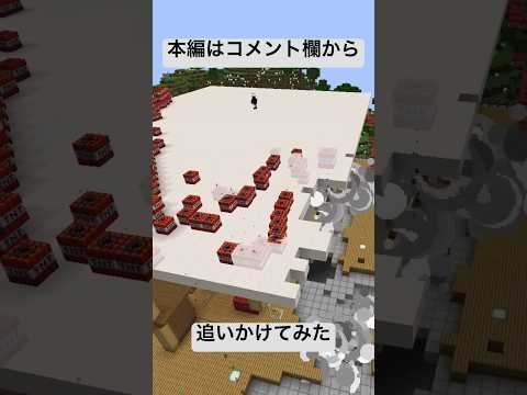 【マイクラ】荒らし追いかけてみた!!#マイクラ#minecraft #Minecraft#まいくら #荒らし