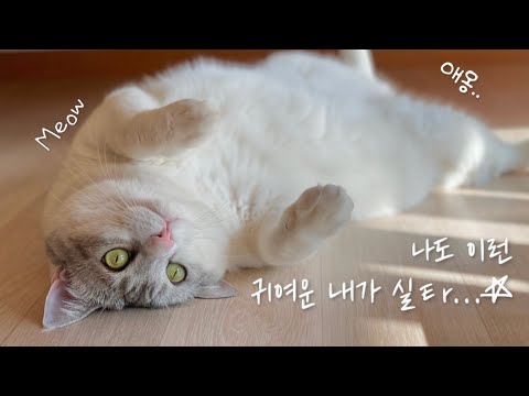 기다리시던 긴 영상 가져왔읍니다.. 안 기다리셨다구요? 그래도 봐야됨ㅎ