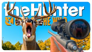 Blasting BLACKTAIL and BLACK BEARS (ᴵ'ᵐ ⁿᵒᵗ ʳᵃᶜᶦˢᵗ ᵗʰᵒ) | theHunter: Call of the Wild