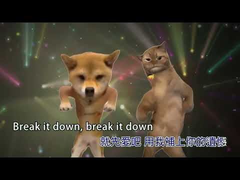 【國語KTV】SpeXial  -  Break it down  (原聲/伴唱切換) #迷因