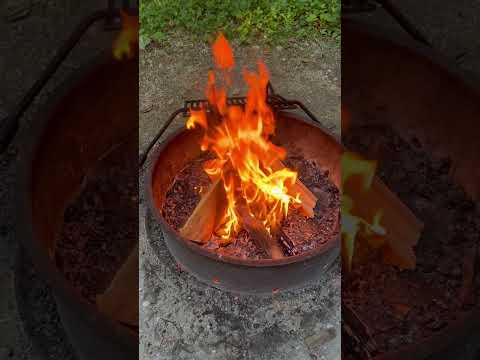 Relaxing Campfire, Woodford State Park. #outdoors #camping #campfire #vermont  #youtubeshorts