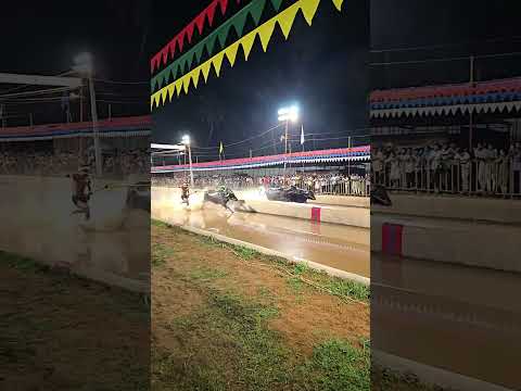 #kambalalive #ಕಂಬಳ #kambala_fan