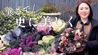 【冬の薔薇】ハボタン特集！【寄せ植えもご紹介】