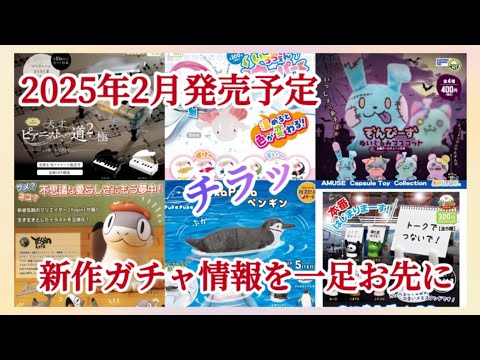 【ガチャ最新発売予定】2025年2月に発売されるガチャガチャをちょっと早めに少しだけお見せします😊#カプセルトイ #ガシャポン#新商品#ケンエレファント