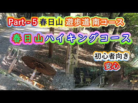 Part-5・奈良・春日山遊歩道・南コース・初心者向け・整備された道をゆっくりと