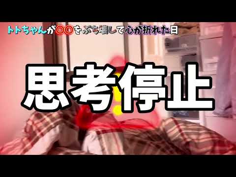 【緊急事態発生⚠️】狩り/モルモットのお風呂/爪切り/釣り保護猫の成長記録③