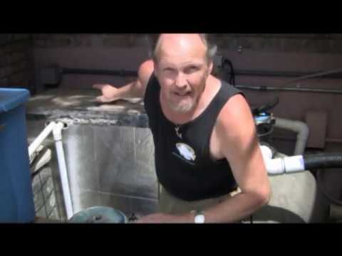 Servicing a Jellyfish Tank, LA Fishguys, Episode 101, Part 2