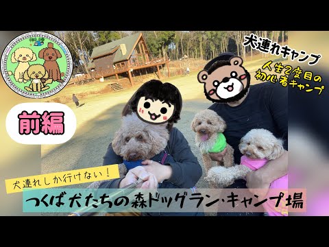 犬連れしか行けない！『つくば犬たちの森ドッグラン・キャンプ場』についに念願叶って行って来ました😆✨