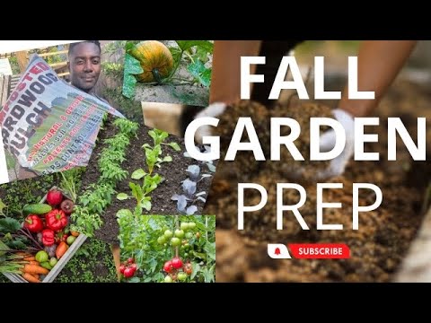 Do This And You Will Have Your Best Fall Garden Ever