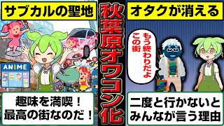 アキバからオタクが失踪…今の秋葉原で何が起きてるのか？【ずんだもん】