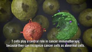 Immunotherapy using checkpoint inhibitors (subtitles)