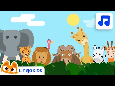 Wild Animals Song 🦒 Safari Chants for Preschoolers | Lingokids Music