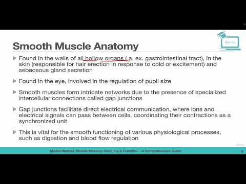 Smooth Muscle Basics and Anatomy