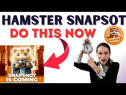 HAMSTER SNAPSHOT #hamsterkombat