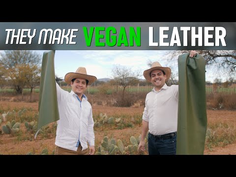 they Make VEGAN leather